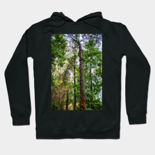 Still Standing Hoodie